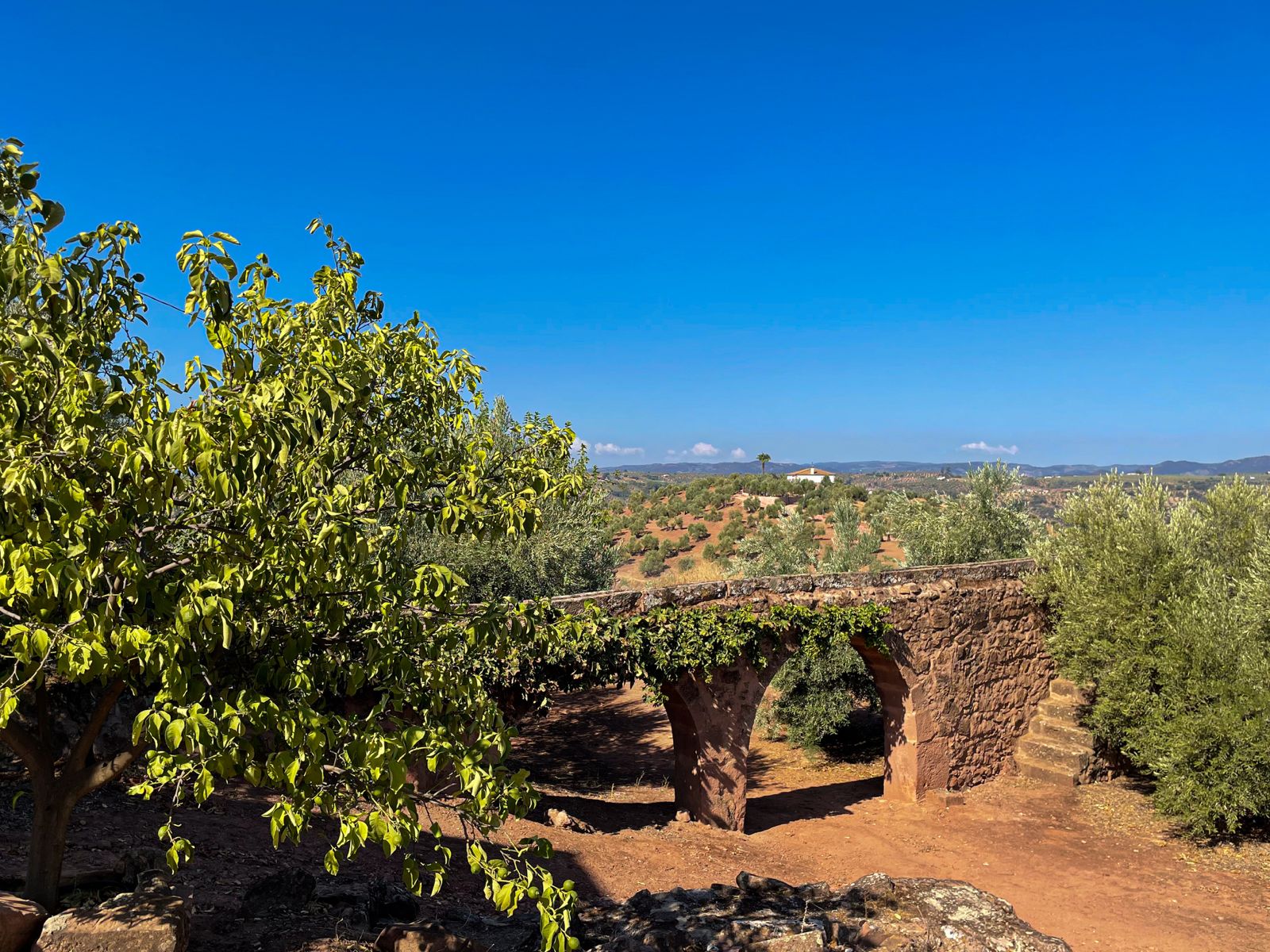 Vista exterior de la finca