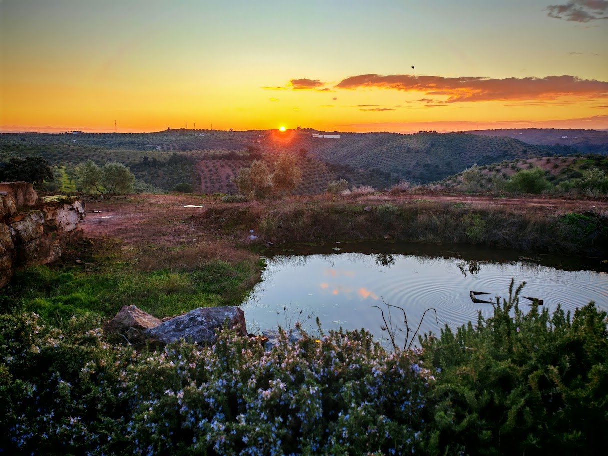 Evento con decoración navideña